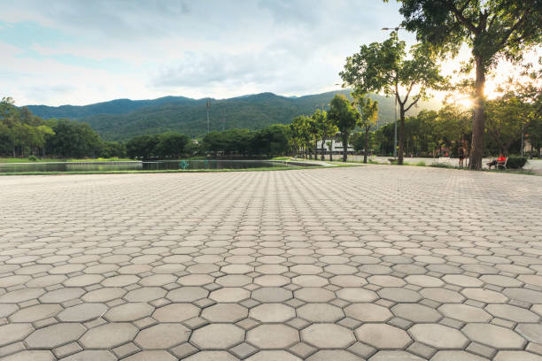 Best Interlocking Driveway Pavers  in Holloman Af, NM